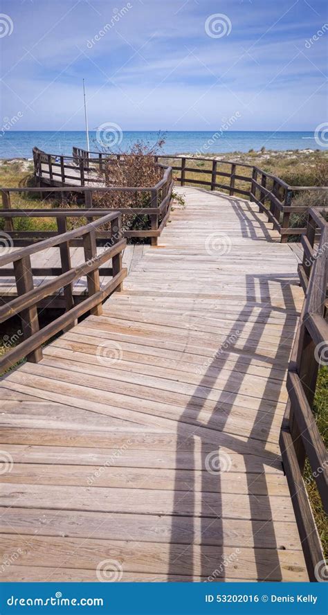 Nature Reserve Boardwalk Stock Photo Image Of Park Nature 53202016