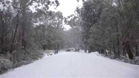 Mount Donna Buang Snow Field Melbourne Victoria
