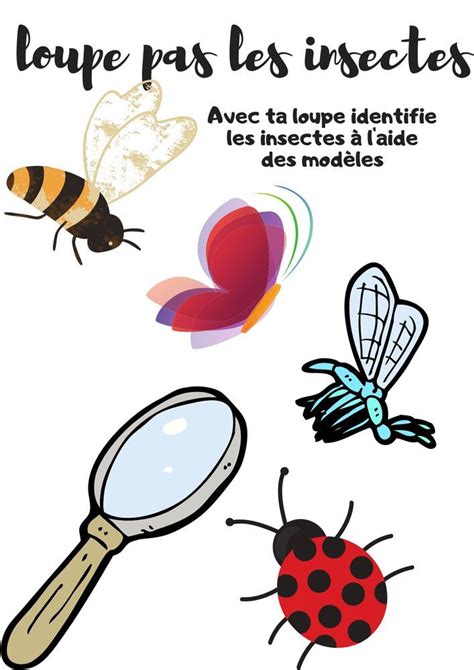 Tout Sur Les Insectes En 2021 Insectes Activités Mathématiques De