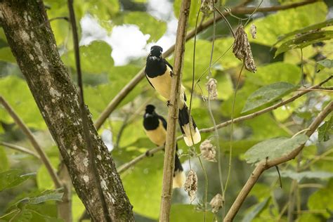 Biodiversidad Argentinagobar