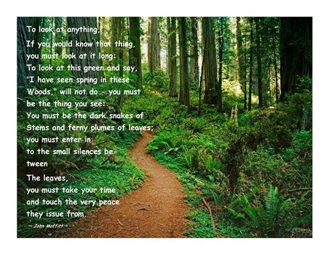 Woods Walk Poem Nature Quotes Nature Green