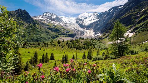 Frenchswiss Alps Trips Awr