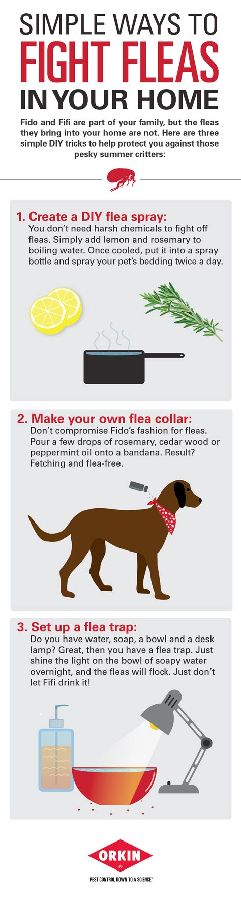 3 Simple Ways To Fight Fleas Diy Dog Remedies Flea Remedies Fleas