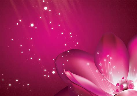 Flower Pink Petals Pink Background Ultra Hd Wallpapers