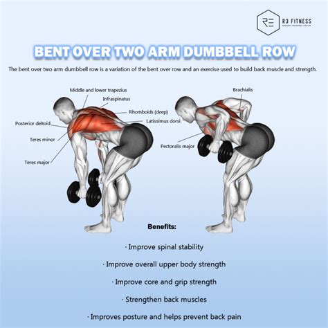 Benefits Of Bent Over Two Arm Dumbbell Row R3 Fitness