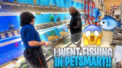 I Went Fishing In Petsmart Youtube