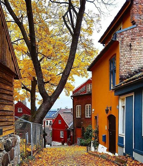 Oslo Norway Beautiful Places Norway Wonderful Places