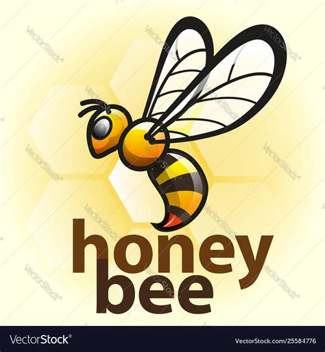 honey bee royalty free vector image vectorstock