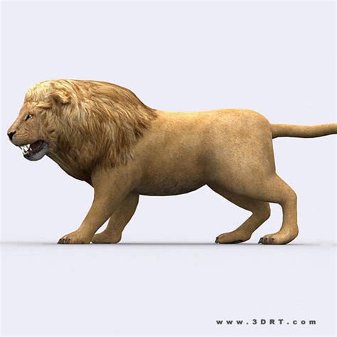 3drt Lion 3d Model Game Ready Animated Rigged