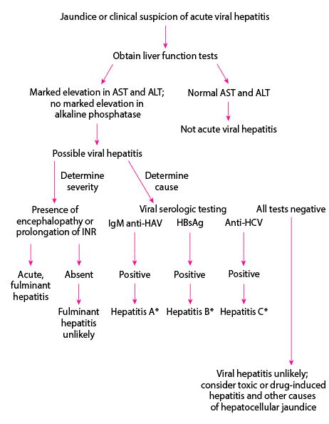 Table Simplified Diagnostic Approach To Possible Acute Viral Hepatitis