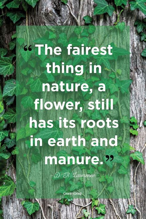 Beautiful Quotes About The Power Of Nature Nature Quotes Quote