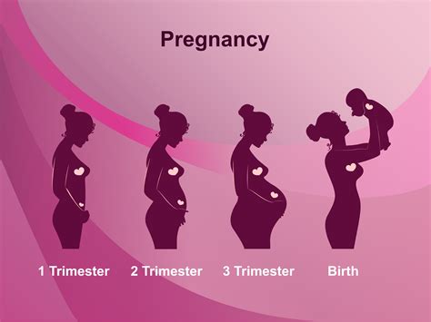 From Bump To Baby Hendersons Premier Obgyn Experience