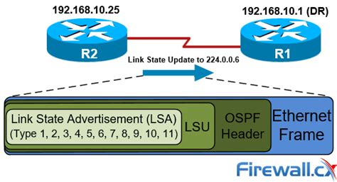 OSPF LSA Types Purpose And Function Of Every OSPF LSA 2022