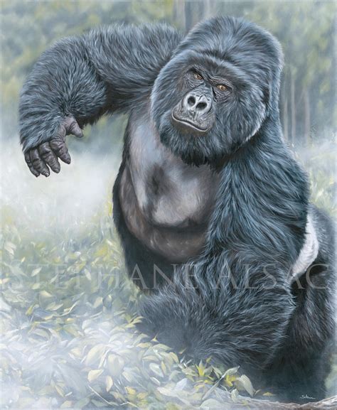 Silverback Gorilla Painting Ubicaciondepersonascdmxgobmx