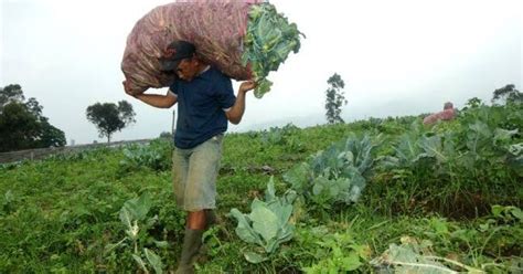 Macam mana nak dapat kan then, baru saya tahu, setem hasil ni perlu untuk buat document/ perjanjian tu sebagai perjanjian rasmi. Kisah Inspiratif: Petani Yang "Berjual Beli" dengan Allah ...