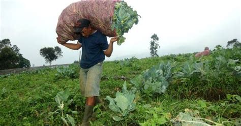 Aku dapat idea untuk isi online ni sebab waktu tu aku memang urgently rushing untuk ambil anak dari sekolah, so otak aku ligat la memikir macam mana nak bagi cepat lagi. Kisah Inspiratif: Petani Yang "Berjual Beli" dengan Allah ...