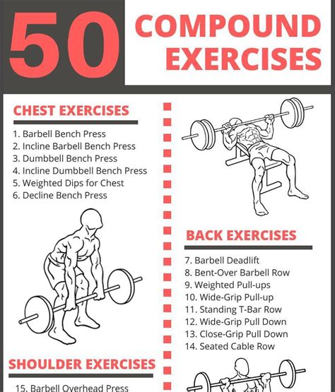 The Ultimate List Of Compound Exercises 50 Muscle Building Exercises