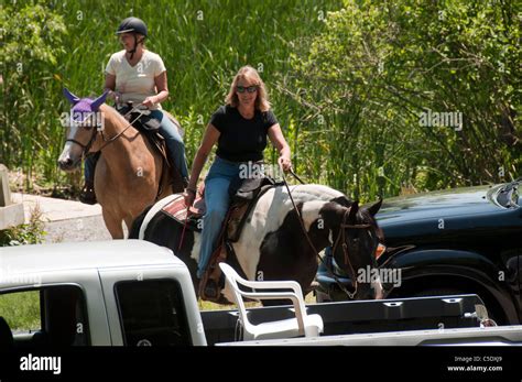 Horseback Riders Among Trucks In Park Stock Photo Alamy