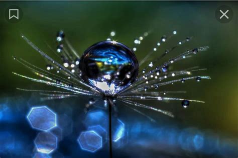 Pin By Lina On Фото Colorful Photography Art Water Drop Photography