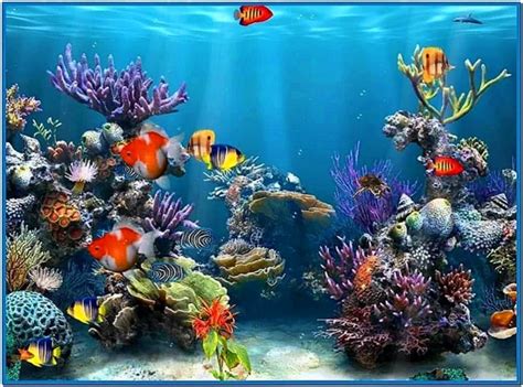 Windows 7 Screensaver 3d Aquarium Download Screensaversbiz