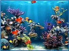 Coral reef adventure aquarium 3d screensaver 1.0 - Download free