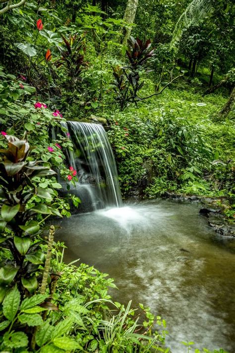 Landscape Small Waterfall Cascade Surrounded By Tropical Plants