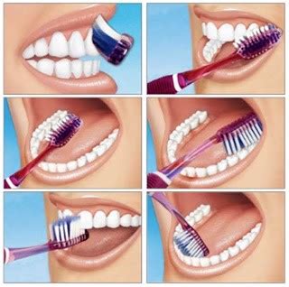 Gently move the brush in short, circular strokes over your teeth and braces. How to brush your teeth properly step by step — NAYAR ...