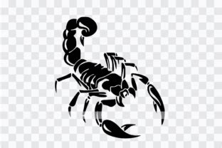 Scorpion SVG Cut File Clipart Silhouette Graphic By Happy Heart Craft