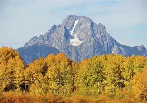 Mount Moran In Autumn Photograph By Whispering Peaks Photography Fine