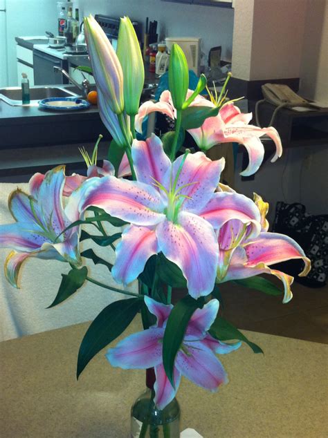 Beautiful Stargazer Lilies By Parisi Designs And Co