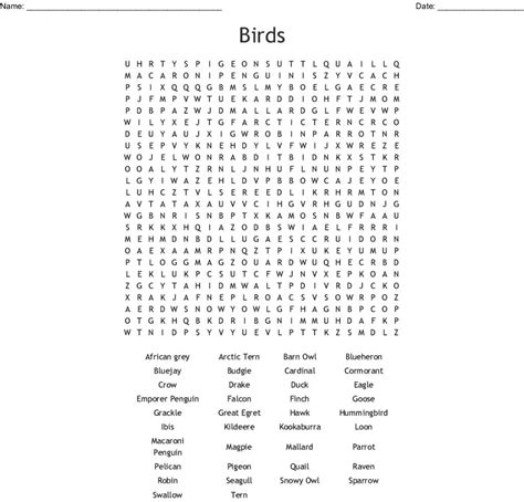 Birds Word Search Wordmint Word Search Printable