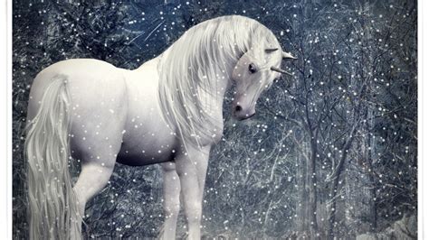 Pretty Unicorn In A Snowy Forest Unicorns Wallpaper 1920x1080 208516