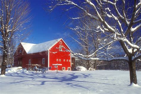 Aj5964 Red Barn Winter Scene Snow Vermont Scenic View Of A Red