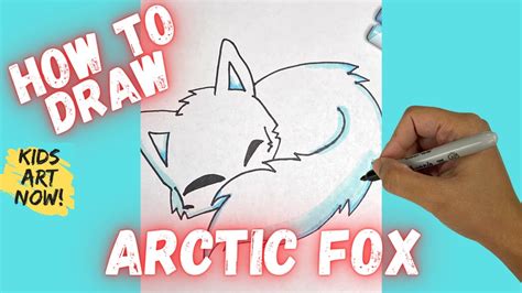 How To Draw A Sleeping Arctic Fox Youtube