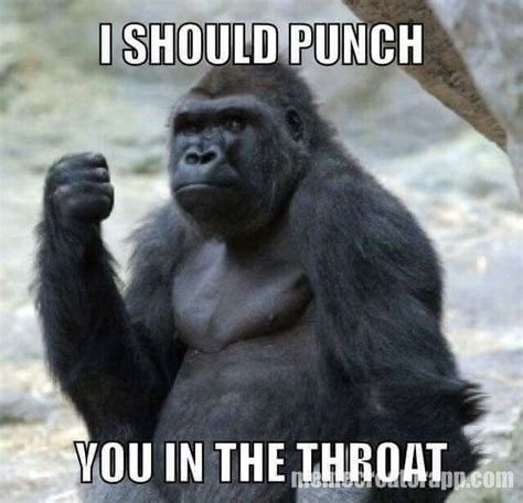 Pin By Ms Speakeasy On Crazy Memes Throat Punch Thursday Gorilla