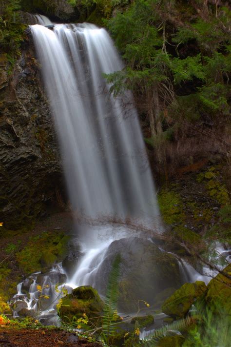 Grotto Falls Oregoncheck Beautiful Waterfalls Waterfall Scenery