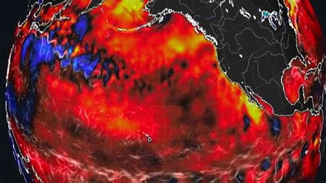 A Thermal Map Of The North Pacific Shows What Scientists