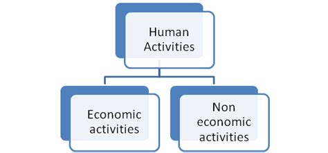 Classification Of Human Activities