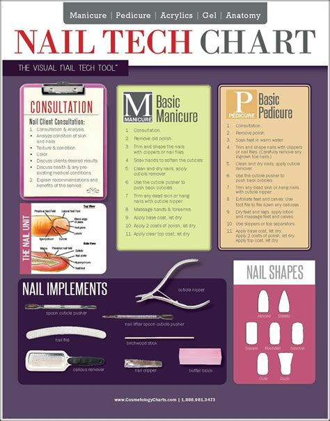 Nail Tech Chart 2 Sided Laminated Quick Reference Guide Cosmetology