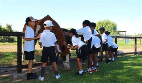 Check spelling or type a new query. 17 Up Close and Personal Encounters with Animals: Attend ...