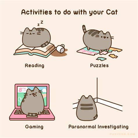 Pusheen Activities To Do With Your Cat