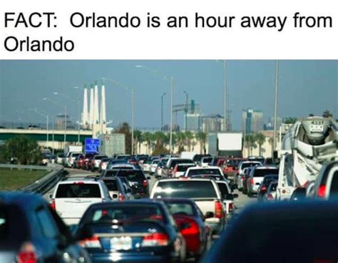 Florida Memes 31 Pics