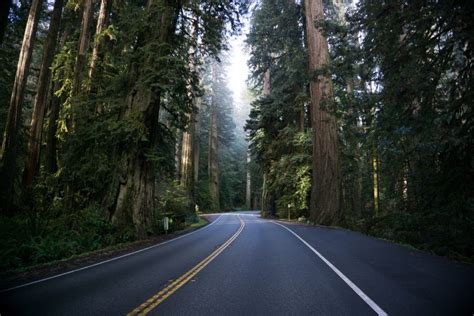 15 Great Road Trips In The Usa To Take This Summer Northern California