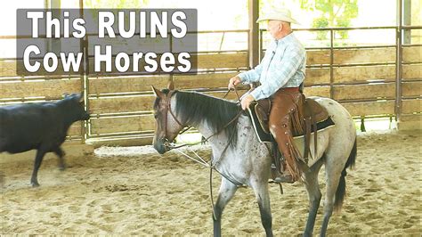 Horse Training This Ruins Cow Horses And How To Prevent It Youtube