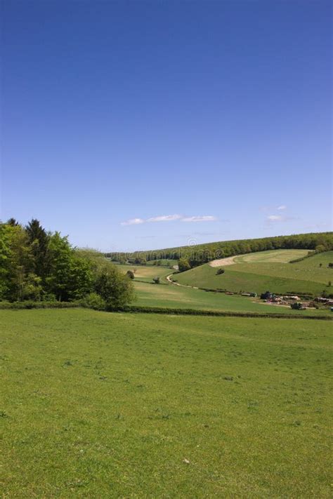 Green Countryside Stock Photo Image Of Fields Filling 54499224