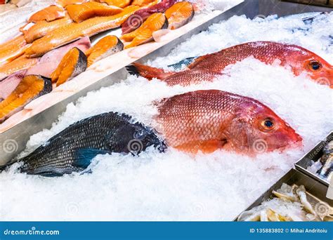 Variety Of Raw Fresh Fish Preserved On Ice Stock Photo Image Of