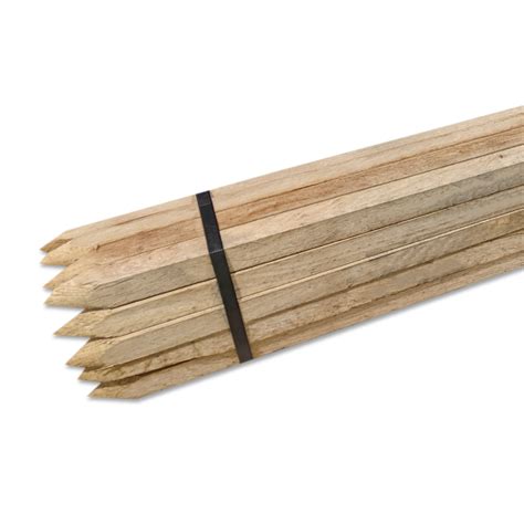 Suregreen Oak Tree Stakes For Tree Planting