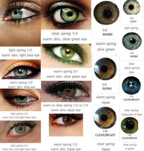 Eye Shadow Colors By Season Clear Spring Hair Colour For Green Eyes