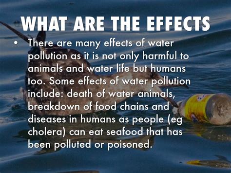 Top 158 Harmful Effects Of Water Pollution On Animals