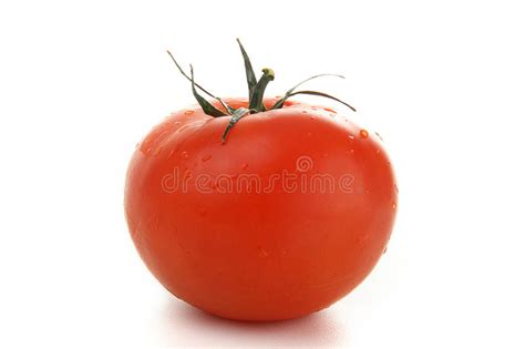 Rotten Tomato 2 Stock Image Image Of Rotten Fruits Perish 1541695